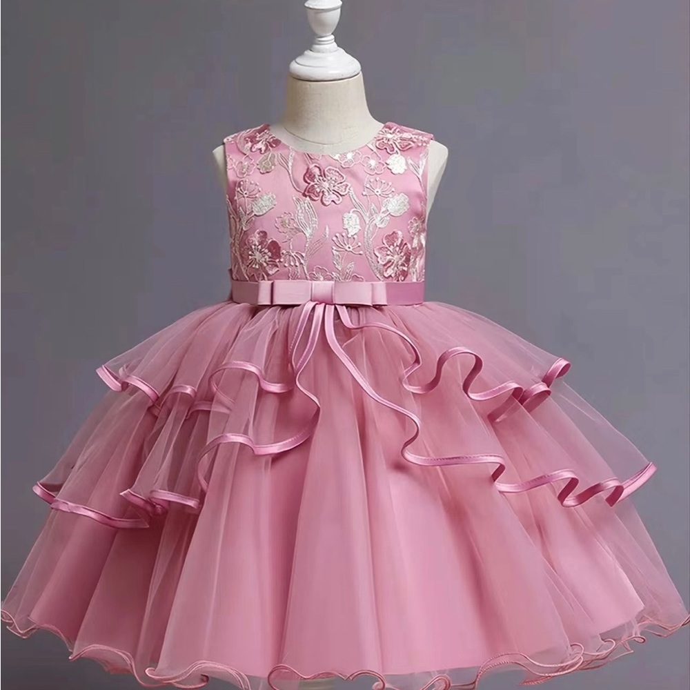 Girls Princess Dress Sleeveless Flower Embroidery Tutu Dress! Super beautiful!